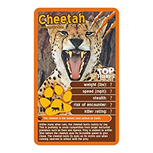 Top Trumps Baby Animals