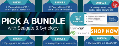 Synology DiskStation DS916+ 4TB Bundle 2