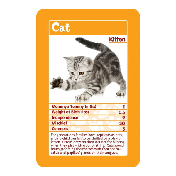 Top Trumps Baby Animals