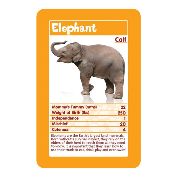 Top Trumps Baby Animals
