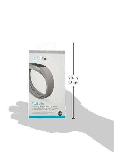 Alta Accessory Band Leather Graphite - Large
