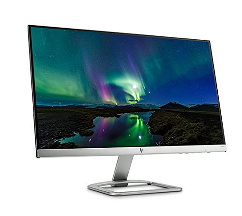 HP N240 23.8-inch Monitor