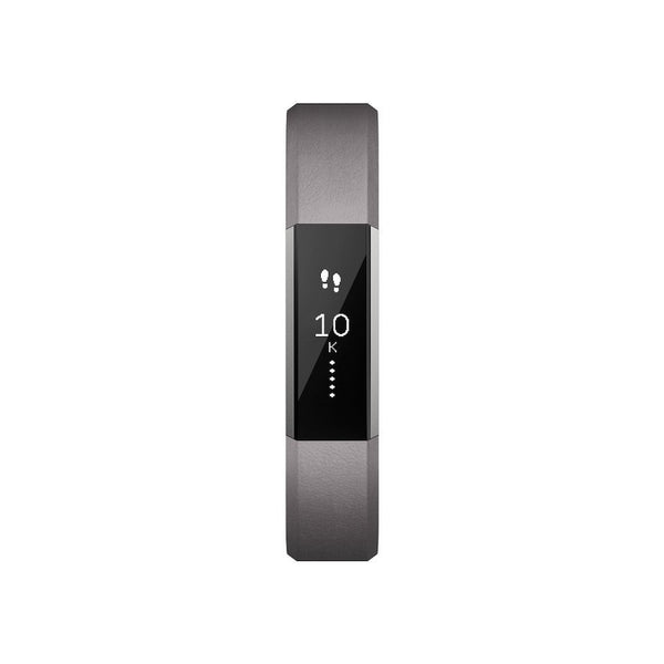 Alta Accessory Band Leather Graphite - Large