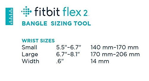 Flex 2 Accessory Bangle Silver - Small