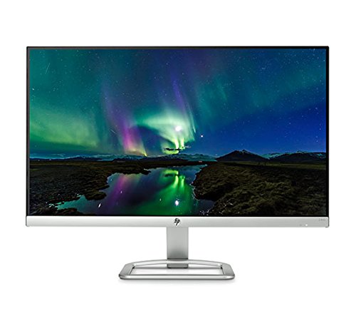 HP N240 23.8-inch Monitor