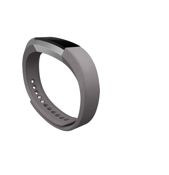 Alta Accessory Band Leather Graphite - Large