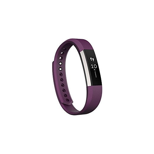 Alta Classic Accessory Band Plum - Small