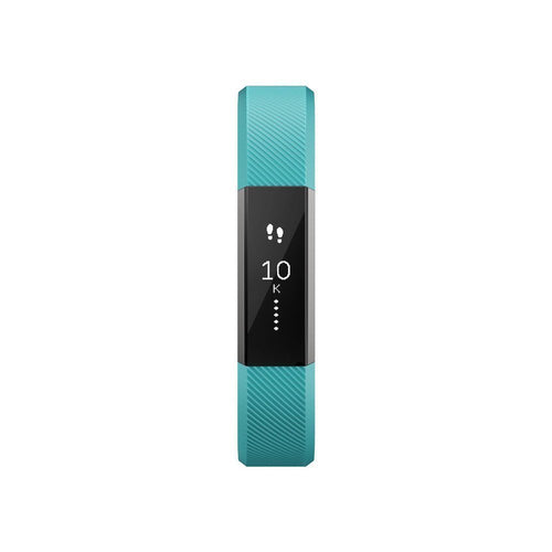 Alta Classic Accessory Band Teal - Large