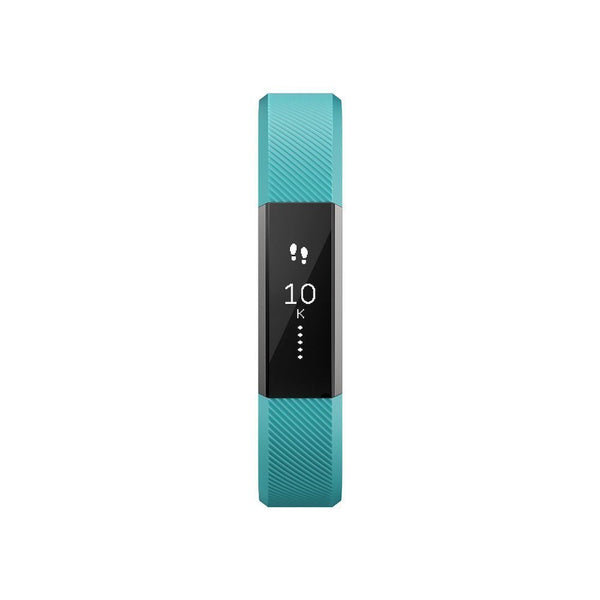 Alta Classic Accessory Band Teal - Large