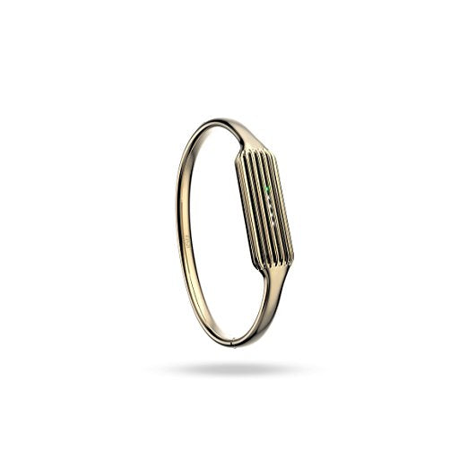 Flex 2 Accessory Bangle Gold - Large