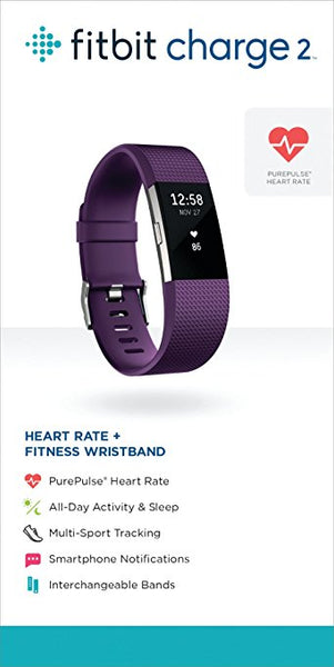 FITBIT CHARGE 2 PLUM SILVER - SMALL