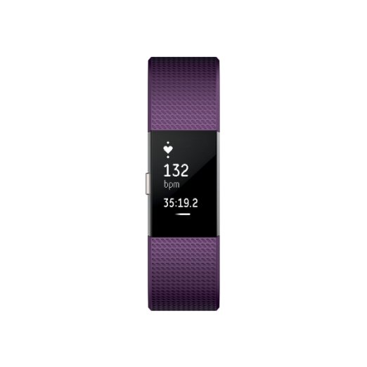 FITBIT CHARGE 2 PLUM SILVER - SMALL