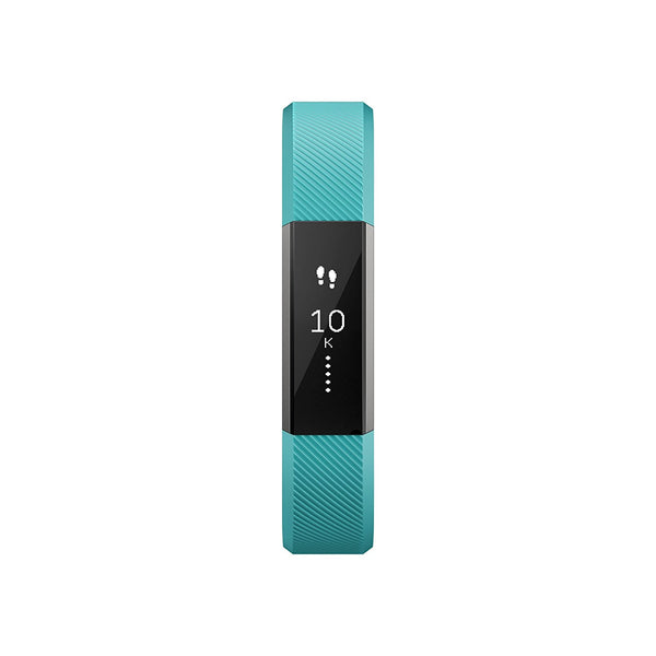Alta Classic Accessory Band Teal - Large