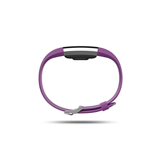 FITBIT CHARGE 2 PLUM SILVER - SMALL