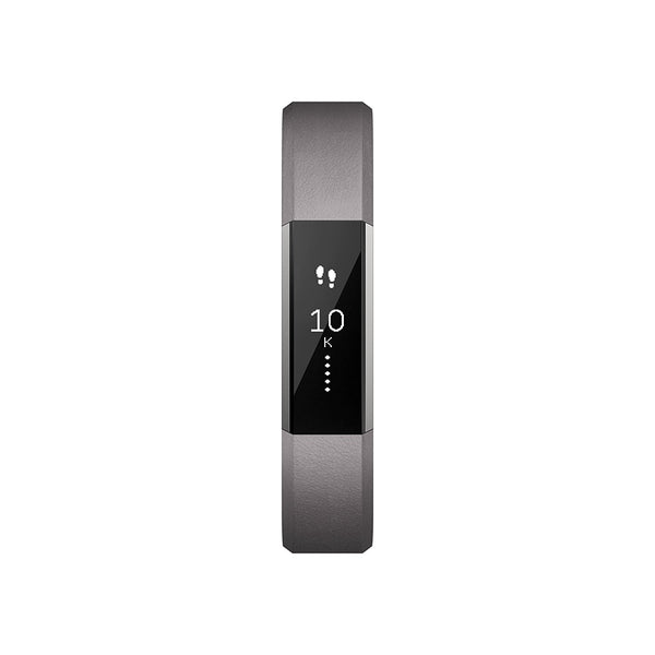 Alta Accessory Band Leather Graphite - Large