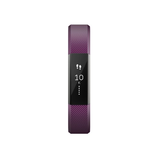 Alta Classic Accessory Band Plum - Small