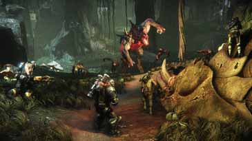 XB1 EVOLVE - US