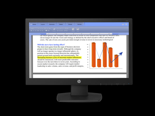 HP V194 18.5-inch Monitor