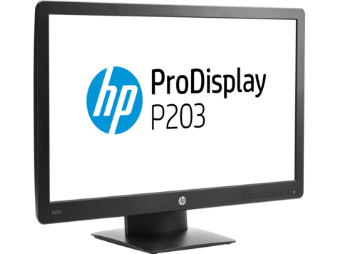 HP ProDisplay P203 20-In Monitor