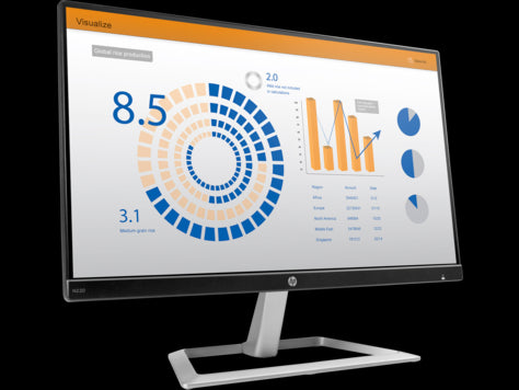 HP N220 21.5-inch Monitor