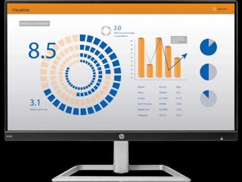 HP N220 21.5-inch Monitor