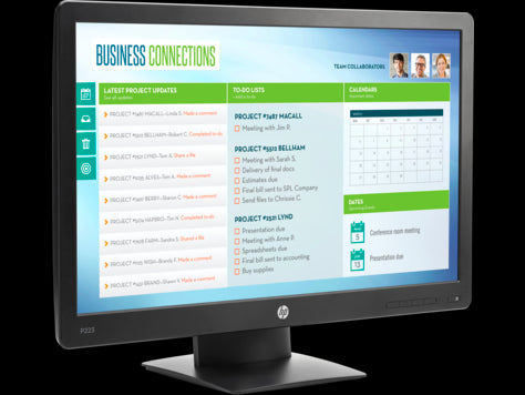HP ProDisplay P223 21.5-inch LED Monitor